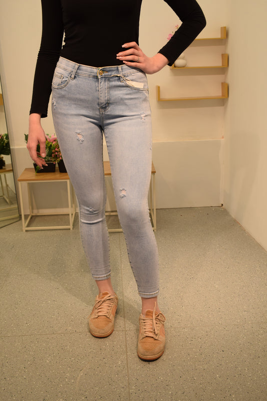 SZ2698